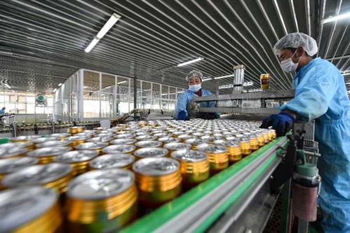 綿薄之力匯聚江城，西藏援鄂特產背后的民企擔當